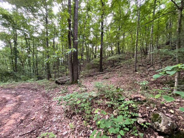 690 Ditch Gap Road, Whitwell, TN 37397