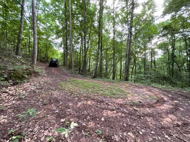 690 Ditch Gap Road, Whitwell, TN 37397