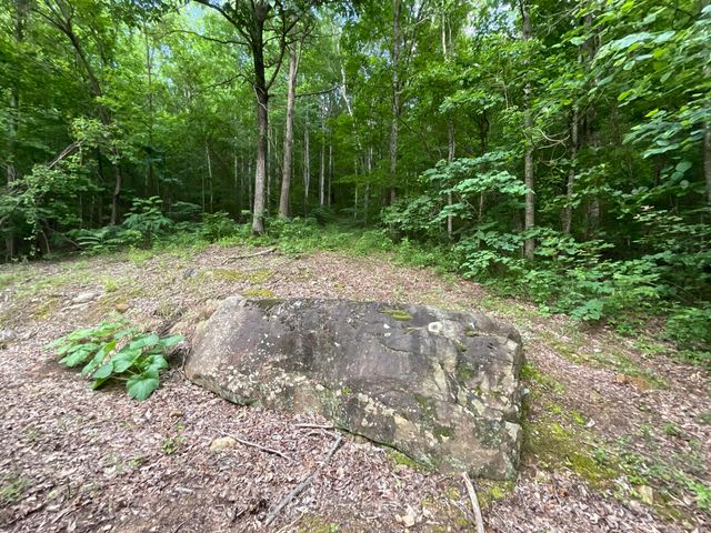 690 Ditch Gap Road, Whitwell, TN 37397