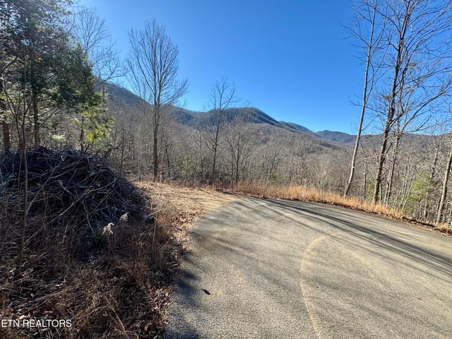 TR 5 Caney Creek (Land only) Rd, Pigeon Forge, TN 37863
