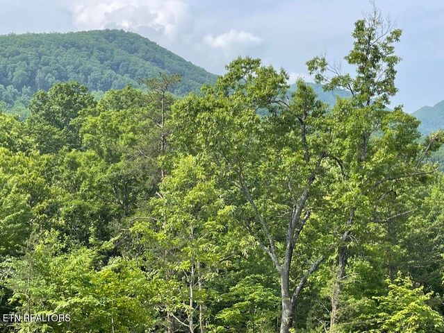 TR 5 Caney Creek (Land only) Rd, Pigeon Forge, TN 37863