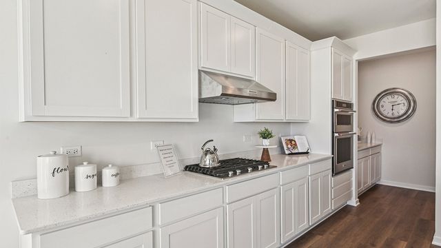 1226 Tiger Lily Drive, Bartlett, IL 60103