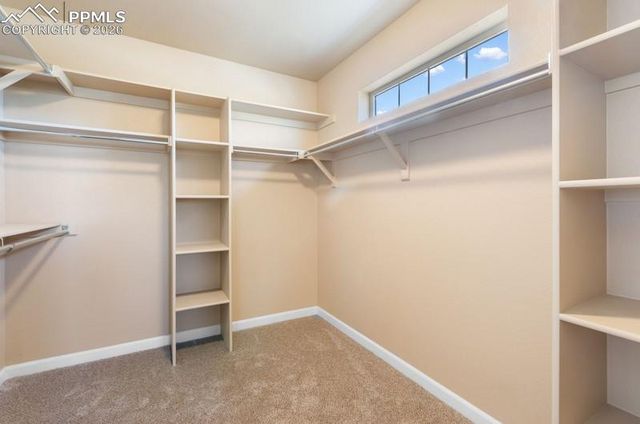 1124 Hallamwood Drive, Colorado Springs, CO 80911