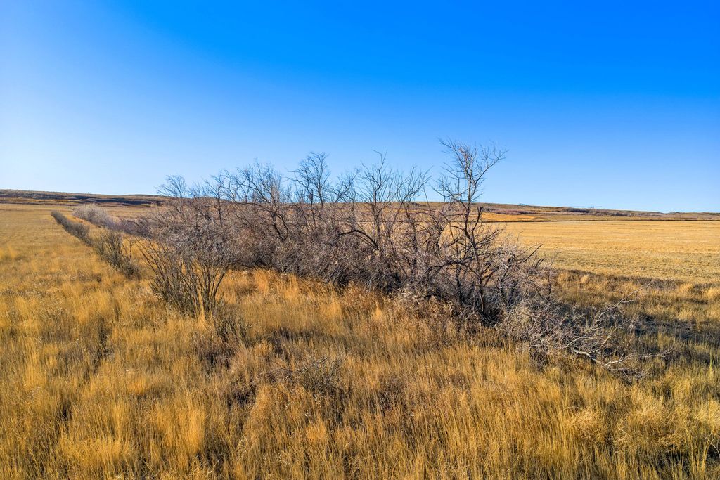 650 11th Lane NE, Power, MT 59468 photo 88