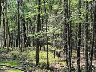 Lot 18 Hunczak Boulevard, Glen Spey, NY 12737