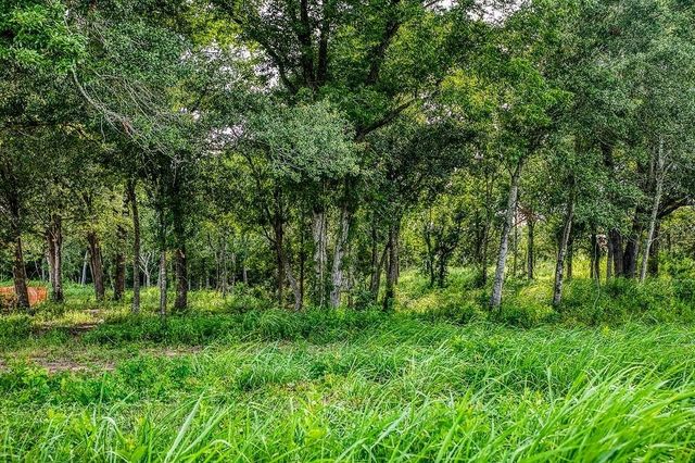 Lot 3 Hargrove Lane, Washington, TX 77880