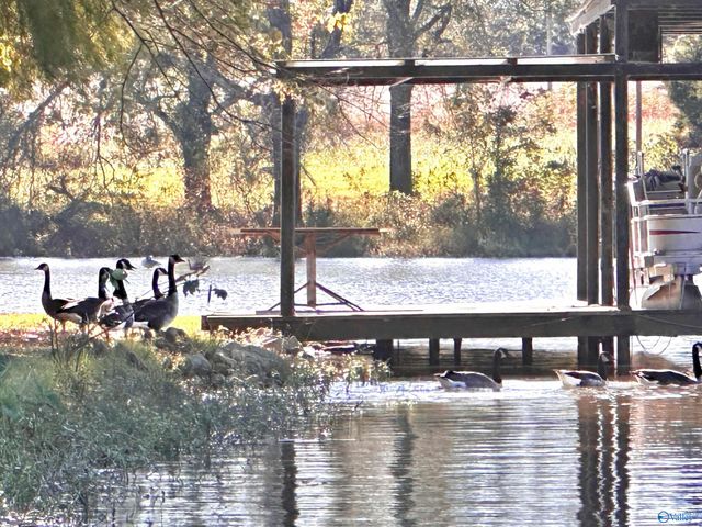 145 Lakewood Drive E, Muscle Shoals, AL 35661