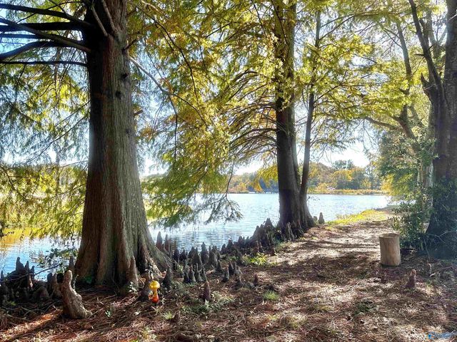 145 Lakewood Drive E, Muscle Shoals, AL 35661