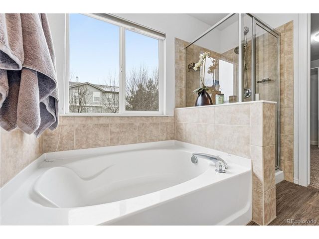 10557 Jaguar Dr, Lone Tree, CO 80124