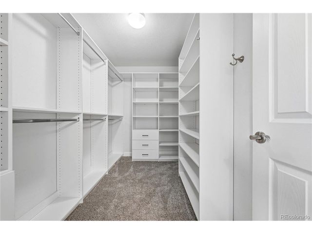 10557 Jaguar Dr, Lone Tree, CO 80124