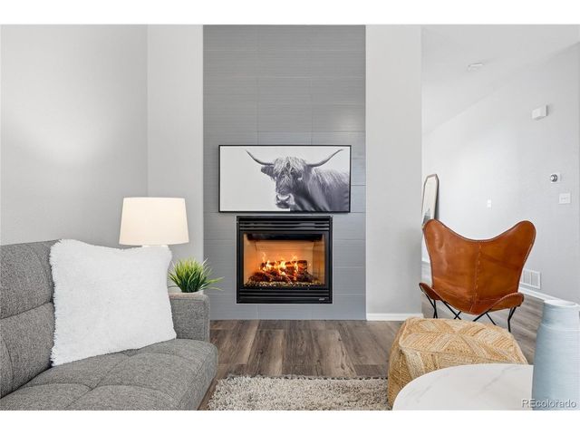 10557 Jaguar Dr, Lone Tree, CO 80124