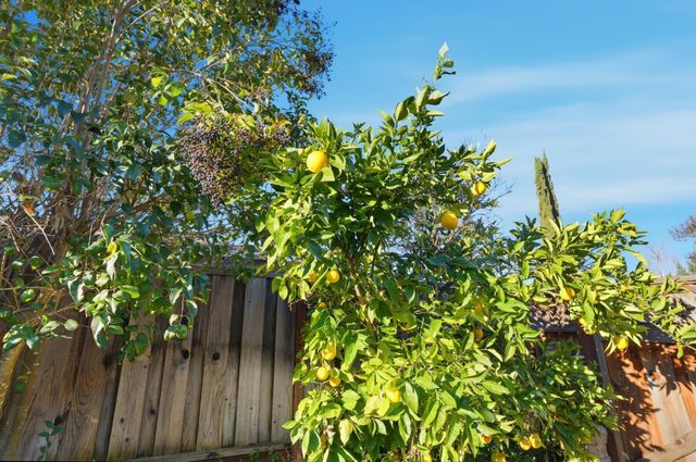 1272 Chelsea Way, Concord, CA 94521