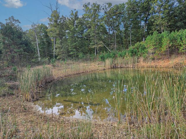 Rr 1 Box 751, Cabool, MO 65689