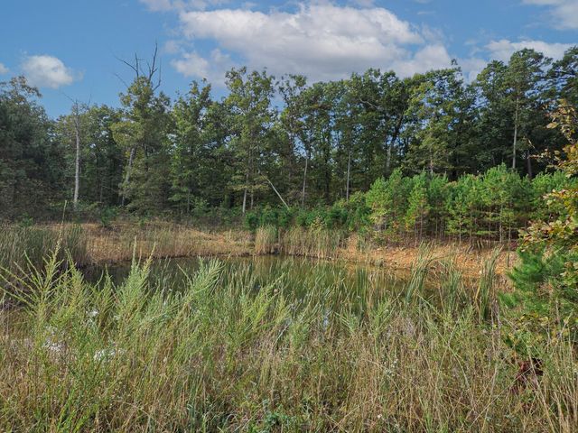 Rr 1 Box 751, Cabool, MO 65689