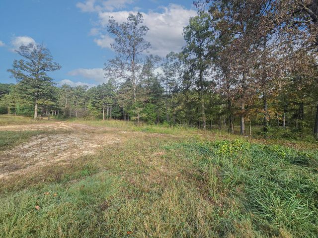 Rr 1 Box 751, Cabool, MO 65689