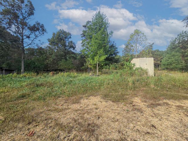 Rr 1 Box 751, Cabool, MO 65689