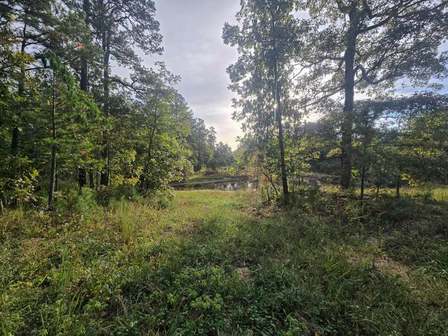 Rr 1 Box 751, Cabool, MO 65689