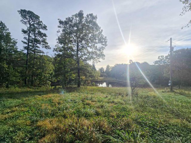 Rr 1 Box 751, Cabool, MO 65689