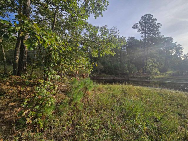 Rr 1 Box 751, Cabool, MO 65689