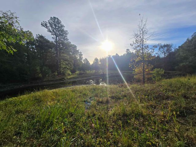 Rr 1 Box 751, Cabool, MO 65689