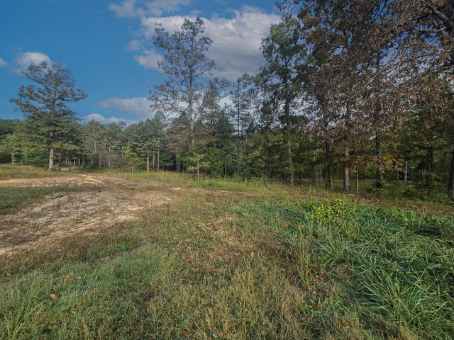 Rr 1 Box 751, Cabool, MO 65689