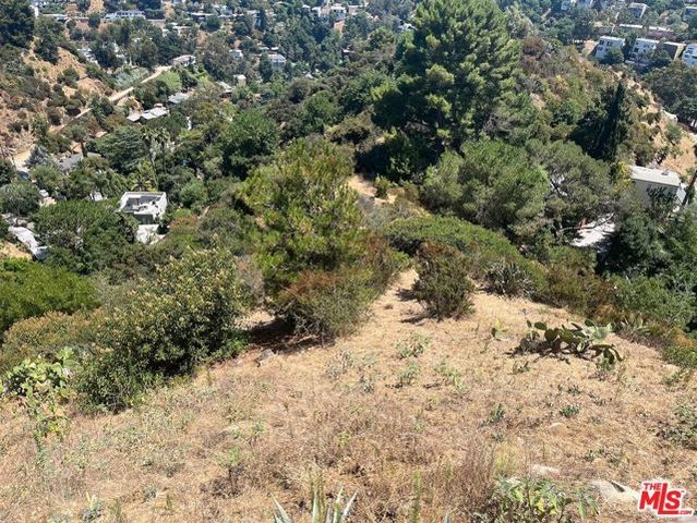 2072 N Lewis Terrace, Los Angeles, CA 90046