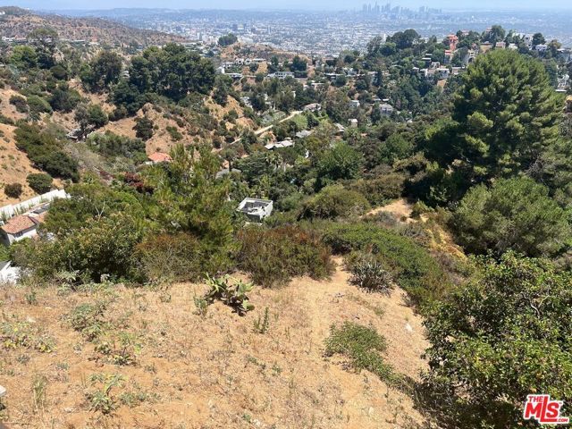 2072 N Lewis Terrace, Los Angeles, CA 90046