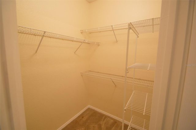 13113 SANCTUARY COVE DRIVE 204, Temple Terrace, FL 33637