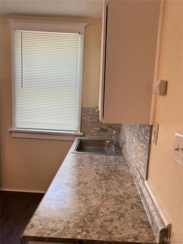 919 S Boyle Avenue, St Louis, MO 63110