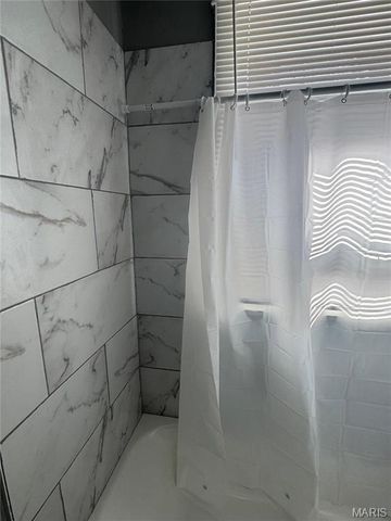 919 S Boyle Avenue, St Louis, MO 63110