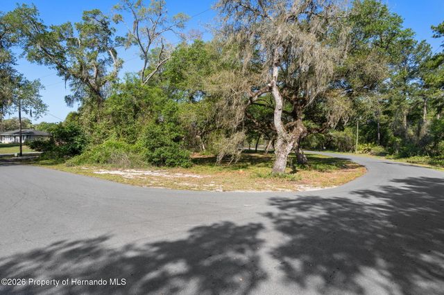 5043 Cardinal Drive, Ridge Manor, FL 33523