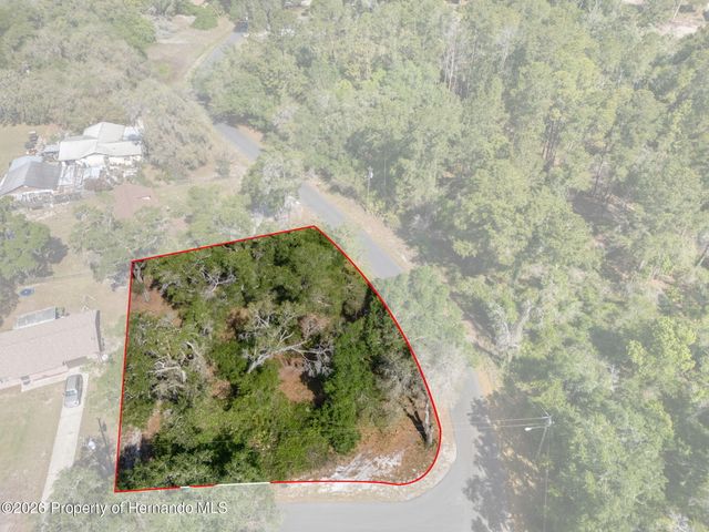 5043 Cardinal Drive, Ridge Manor, FL 33523