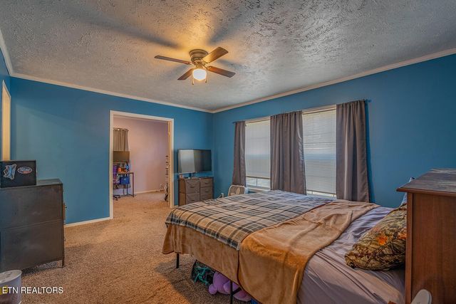 153 Tori Kait Lane, Powell, TN 37849