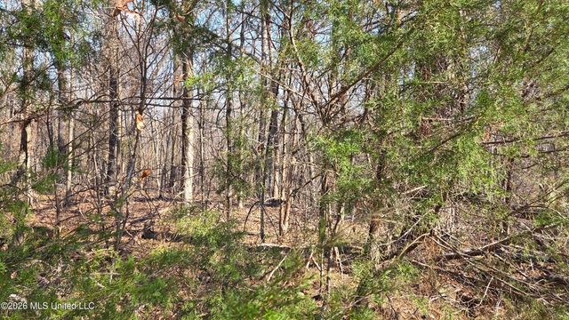 163 Waites Road, Holly Springs, MS 38635