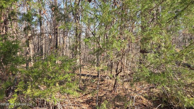 163 Waites Road, Holly Springs, MS 38635