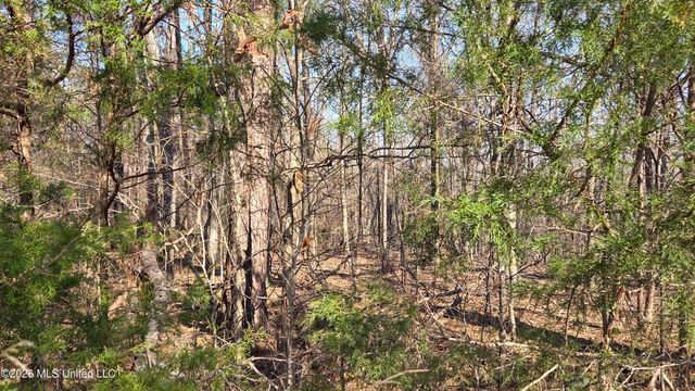 163 Waites Road, Holly Springs, MS 38635