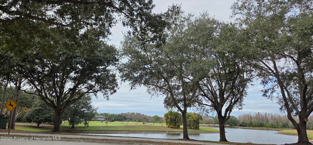 4217 Fishermans Lake Drive, Lutz, FL 33558