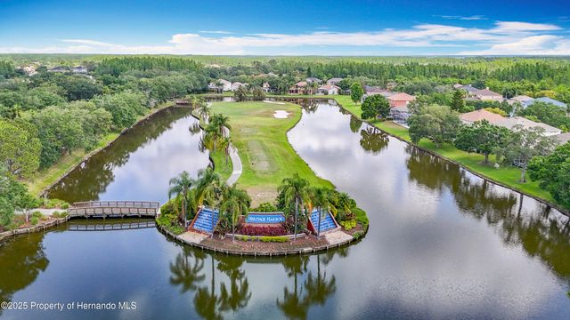 4217 Fishermans Lake Drive, Lutz, FL 33558