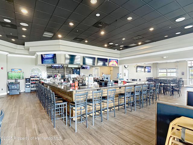 4217 Fishermans Lake Drive, Lutz, FL 33558