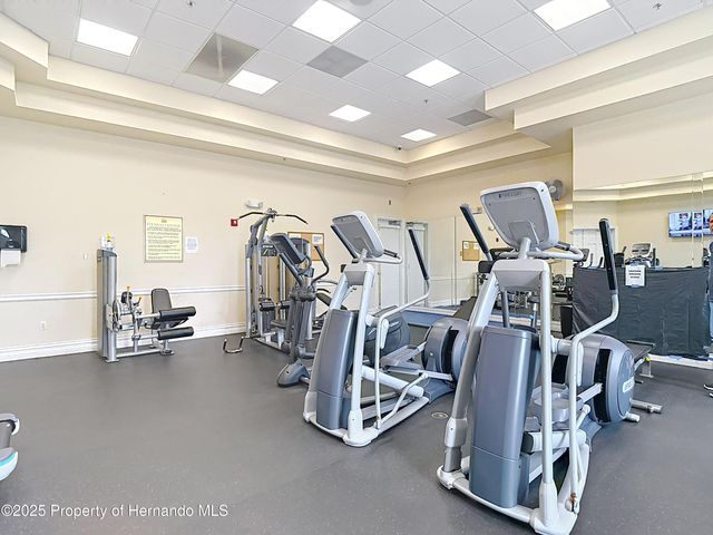 4217 Fishermans Lake Drive, Lutz, FL 33558