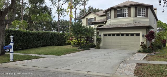 4217 Fishermans Lake Drive, Lutz, FL 33558