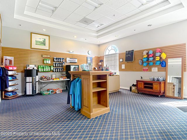 4217 Fishermans Lake Drive, Lutz, FL 33558