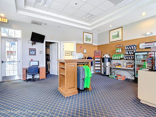 4217 Fishermans Lake Drive, Lutz, FL 33558