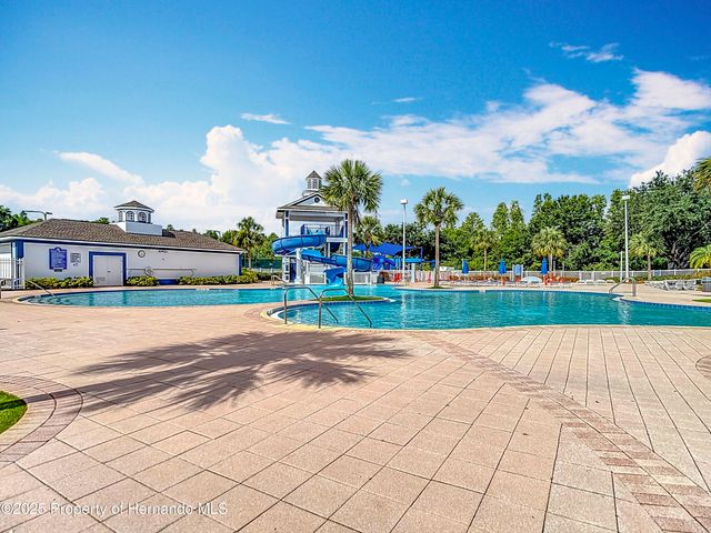 4217 Fishermans Lake Drive, Lutz, FL 33558