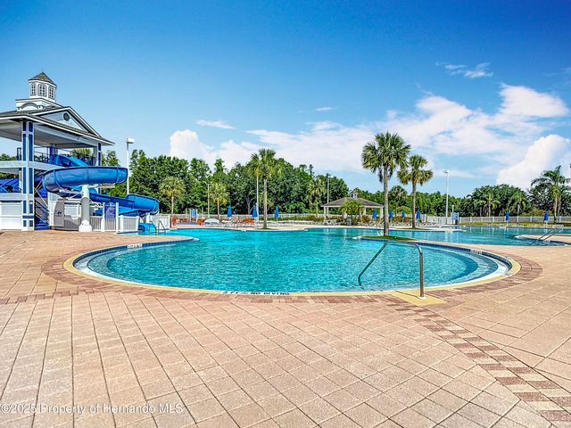 4217 Fishermans Lake Drive, Lutz, FL 33558