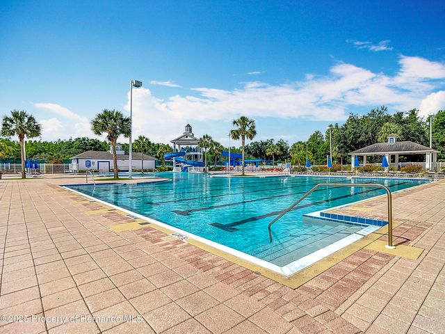 4217 Fishermans Lake Drive, Lutz, FL 33558