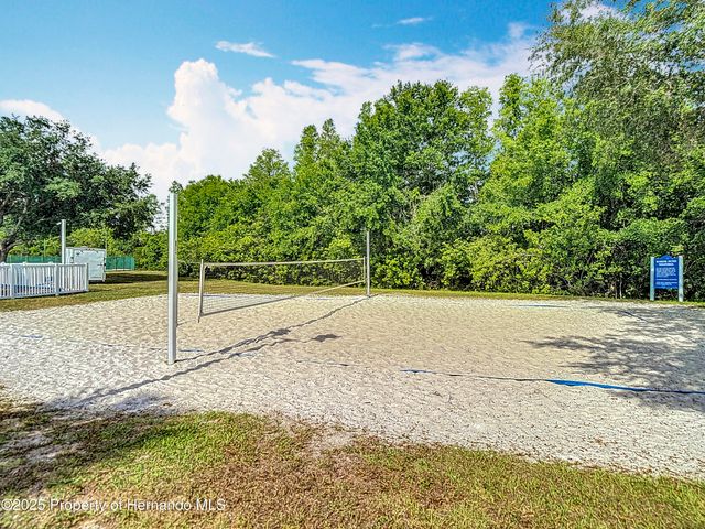 4217 Fishermans Lake Drive, Lutz, FL 33558