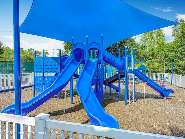 4217 Fishermans Lake Drive, Lutz, FL 33558