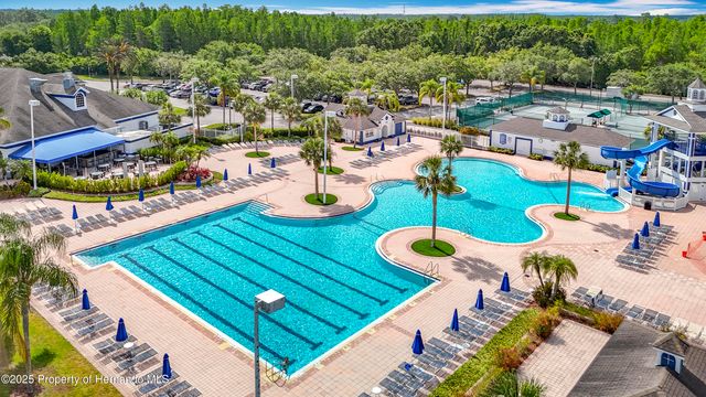 4217 Fishermans Lake Drive, Lutz, FL 33558