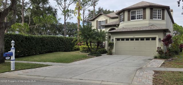 4217 Fishermans Lake Drive, Lutz, FL 33558